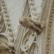Le Lion de St-Jean (69)